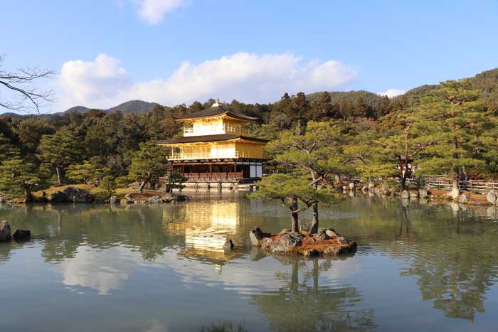 �ձ����������Ľ��w��