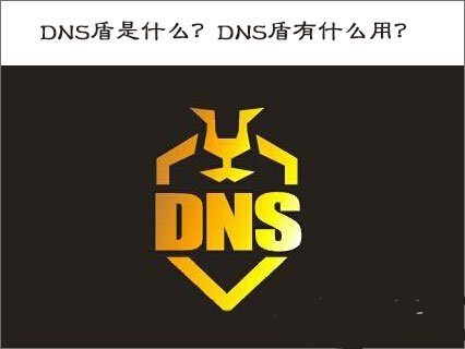 DNS����ʲô��DNS����ʲô����