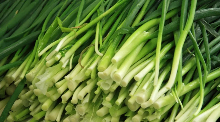 幣圈怎么割韭菜?“比特幣首富”李笑來揭秘種種套路