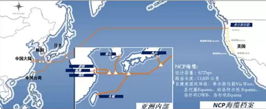 ���������l���| &ndash; NCP �Ї�(gu��)�Ϻ�&ndash;�������Ռ�