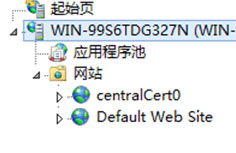 IIS8.0集中式SSL證書管理: SSL可擴(kuò)展性和可管理性
