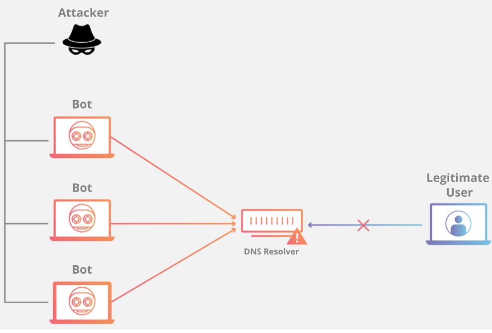 DNS ��ˮ DDoS ����ʾ��D