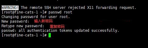 xshell連接服務(wù)器,xshell怎么連接linux